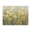 Trademark Fine Art Tim Otoole 'Summer In Bloom I' Canvas Art, 14x19 WAG04404-C1419GG
